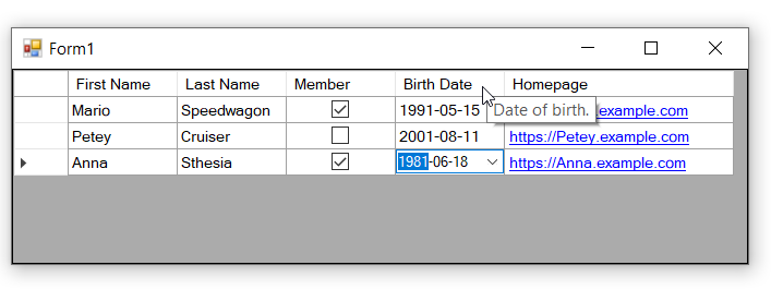 DataAnnotations Validation Attributes in Windows Forms